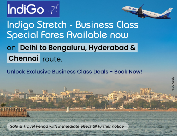 Indigo business class